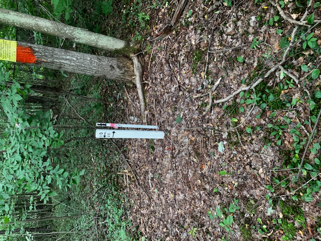 “Pine Run Road Subdivision – Phase 2” Building Lots – Lafayette Township, McKean County, PA.