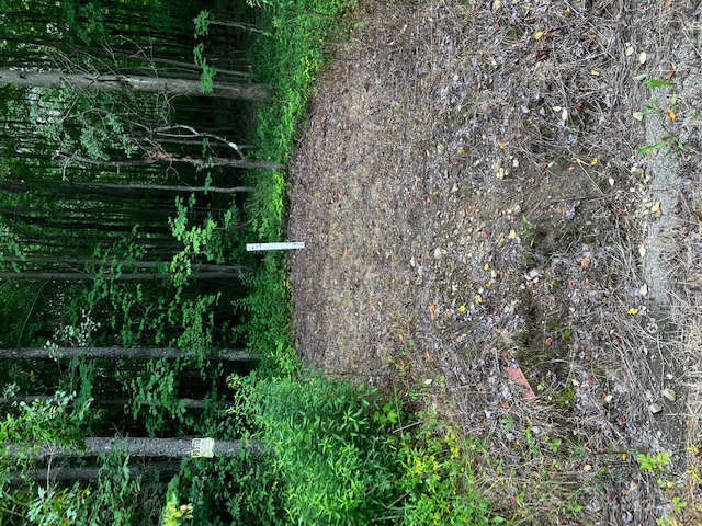 “Pine Run Road Subdivision – Phase 2” Building Lots – Lafayette Township, McKean County, PA.