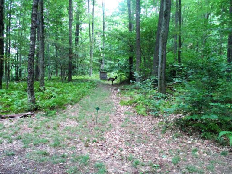 Camp Lots for Sale Blue Sky Real Estate