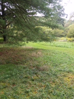 NICE LYING 1.46 ACRE CAMP LOT between DuBois & Penfield, PA