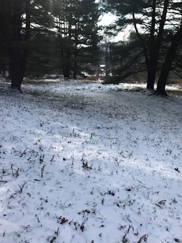 NICE LYING 1.46 ACRE CAMP LOT between DuBois & Penfield, PA
