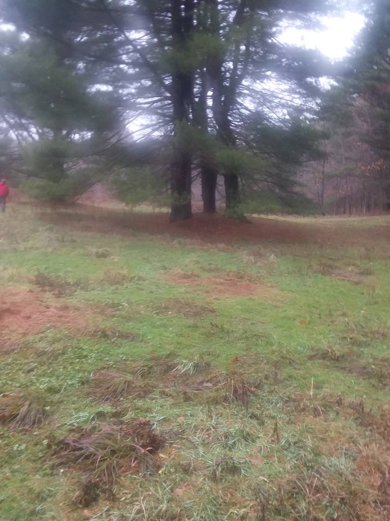 NICE LYING 1.46 ACRE CAMP LOT between DuBois & Penfield, PA
