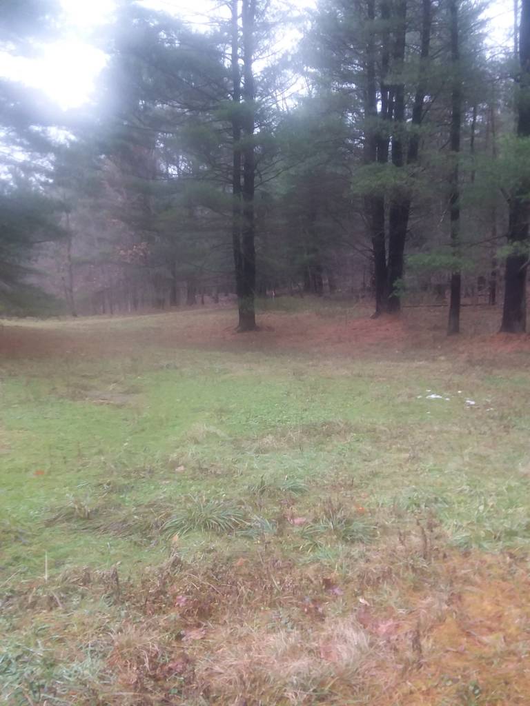 NICE LYING 1.46 ACRE CAMP LOT between DuBois & Penfield, PA