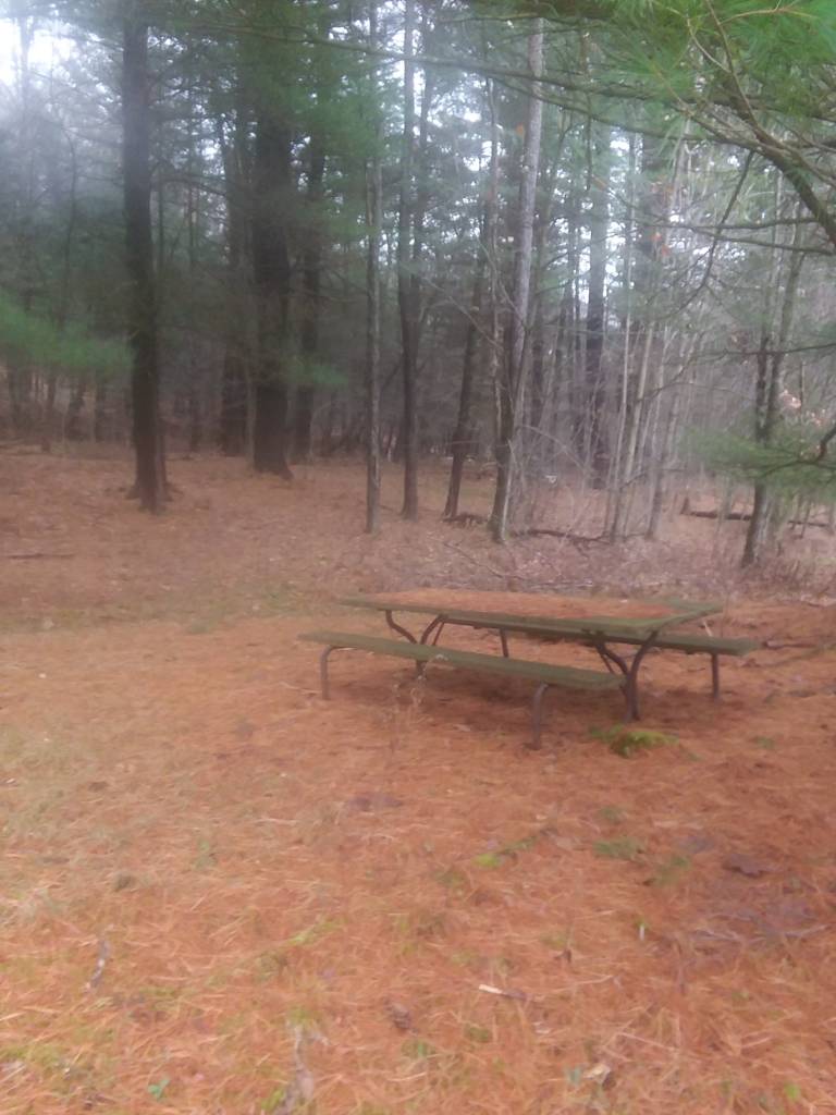 NICE LYING 1.46 ACRE CAMP LOT between DuBois & Penfield, PA