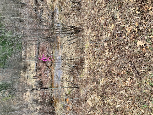 SALE PRICE for an undivided 33% interest in 24 acres – Canoe Township, Indiana County