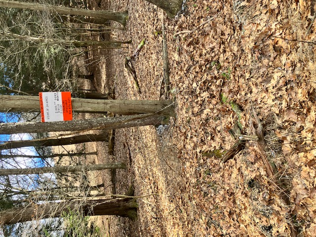 SALE PRICE for an undivided 33% interest in 24 acres – Canoe Township, Indiana County