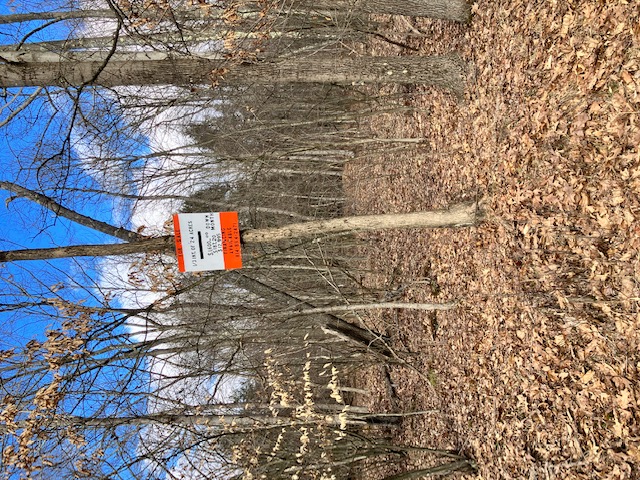 SALE PRICE for an undivided 33% interest in 24 acres – Canoe Township, Indiana County