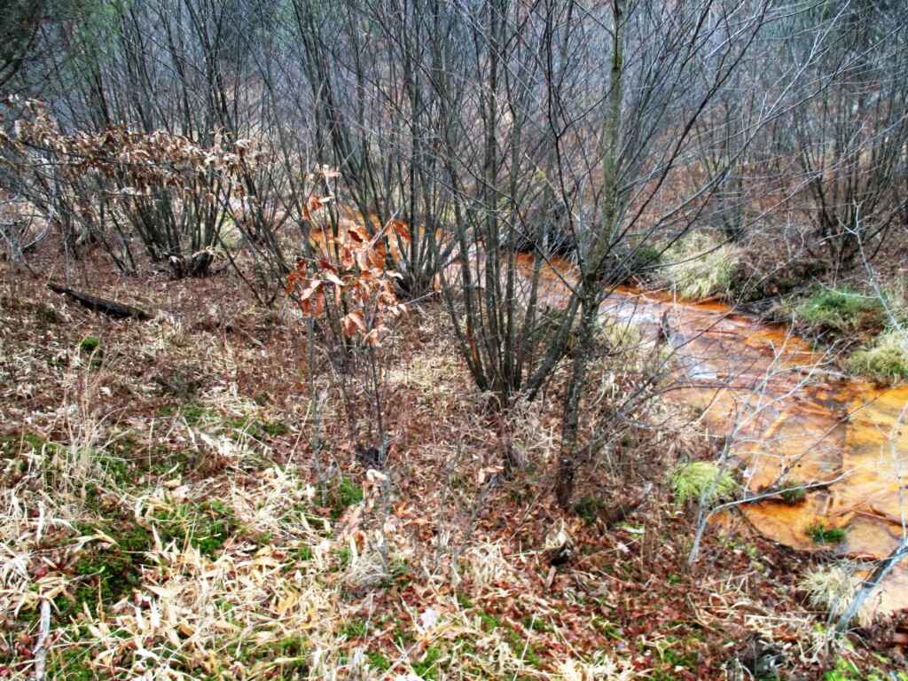 SALE PRICE for an undivided 33% interest in 24 acres – Canoe Township, Indiana County