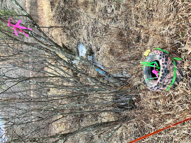 SALE PRICE for an undivided 33% interest in 24 acres – Canoe Township, Indiana County