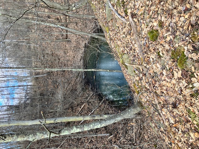 SALE PRICE for an undivided 33% interest in 24 acres – Canoe Township, Indiana County