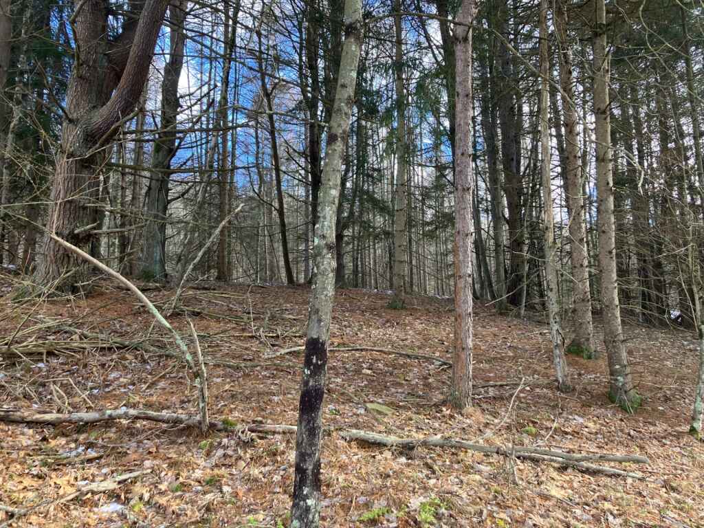 OWNER FINANCES: CLARION COUNTY- 7.4 ACRES FOR SALE (NEAR SLIGO, PA)