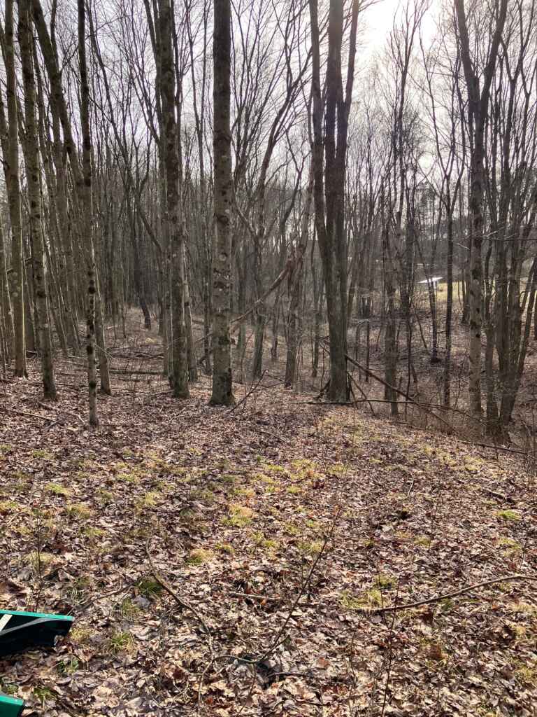 OWNER FINANCES: CLARION COUNTY- 7.4 ACRES FOR SALE (NEAR SLIGO, PA)