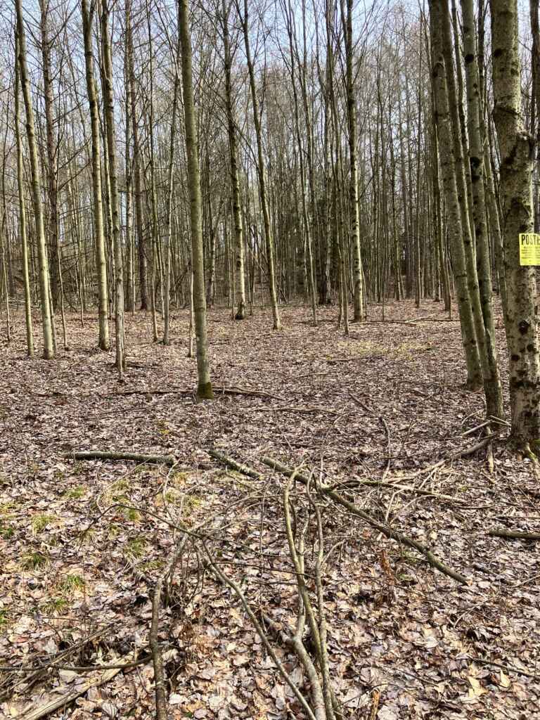 OWNER FINANCES: CLARION COUNTY- 7.4 ACRES FOR SALE (NEAR SLIGO, PA)