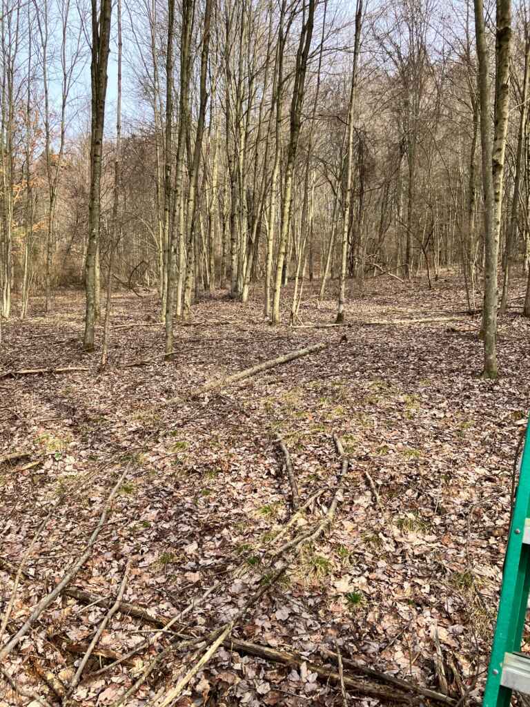 OWNER FINANCES: CLARION COUNTY- 7.4 ACRES FOR SALE (NEAR SLIGO, PA)