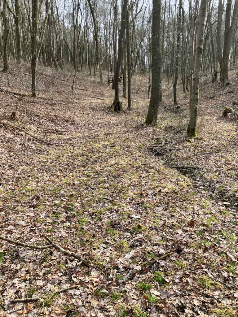 OWNER FINANCES: CLARION COUNTY- 7.4 ACRES FOR SALE (NEAR SLIGO, PA)
