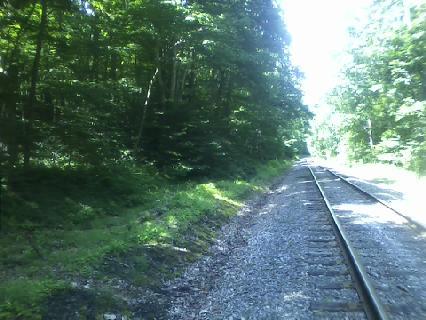 AVAILABLE NOW! OWNER WILL FINANCE – BEAUTIFUL 59.65 ACRES IN TYLER – HUSTON TOWNSHIP, CLEARFIELD COUNTY