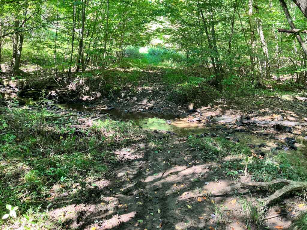 AVAILABLE NOW! OWNER WILL FINANCE – BEAUTIFUL 59.65 ACRES IN TYLER – HUSTON TOWNSHIP, CLEARFIELD COUNTY