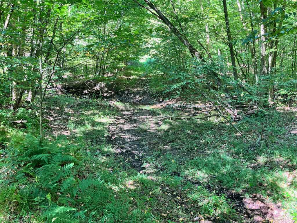 AVAILABLE NOW! OWNER WILL FINANCE – BEAUTIFUL 59.65 ACRES IN TYLER – HUSTON TOWNSHIP, CLEARFIELD COUNTY