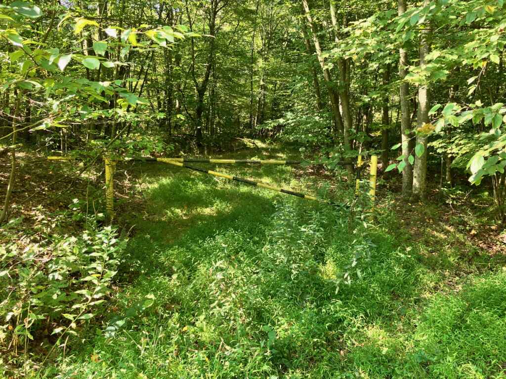 AVAILABLE NOW! OWNER WILL FINANCE – BEAUTIFUL 59.65 ACRES IN TYLER – HUSTON TOWNSHIP, CLEARFIELD COUNTY