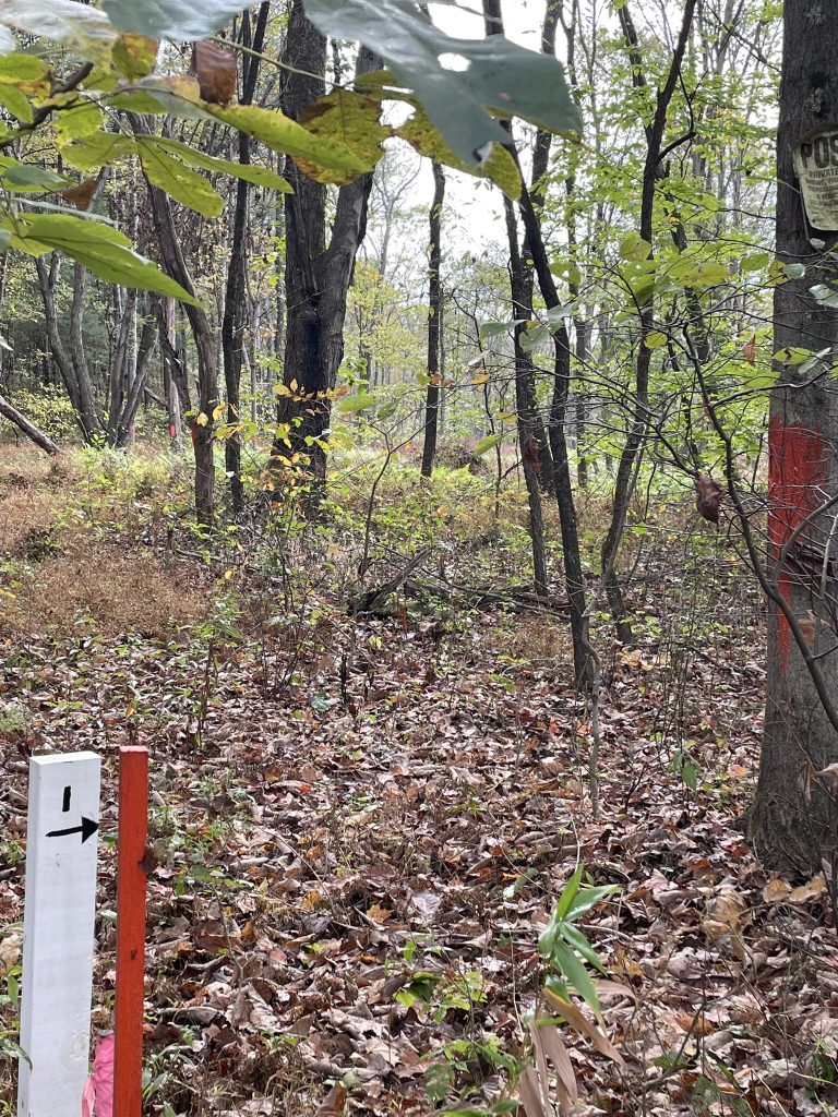 Beautiful 3.75 Acres building lots with septic approval (Clearfield County, Ferguson Township)