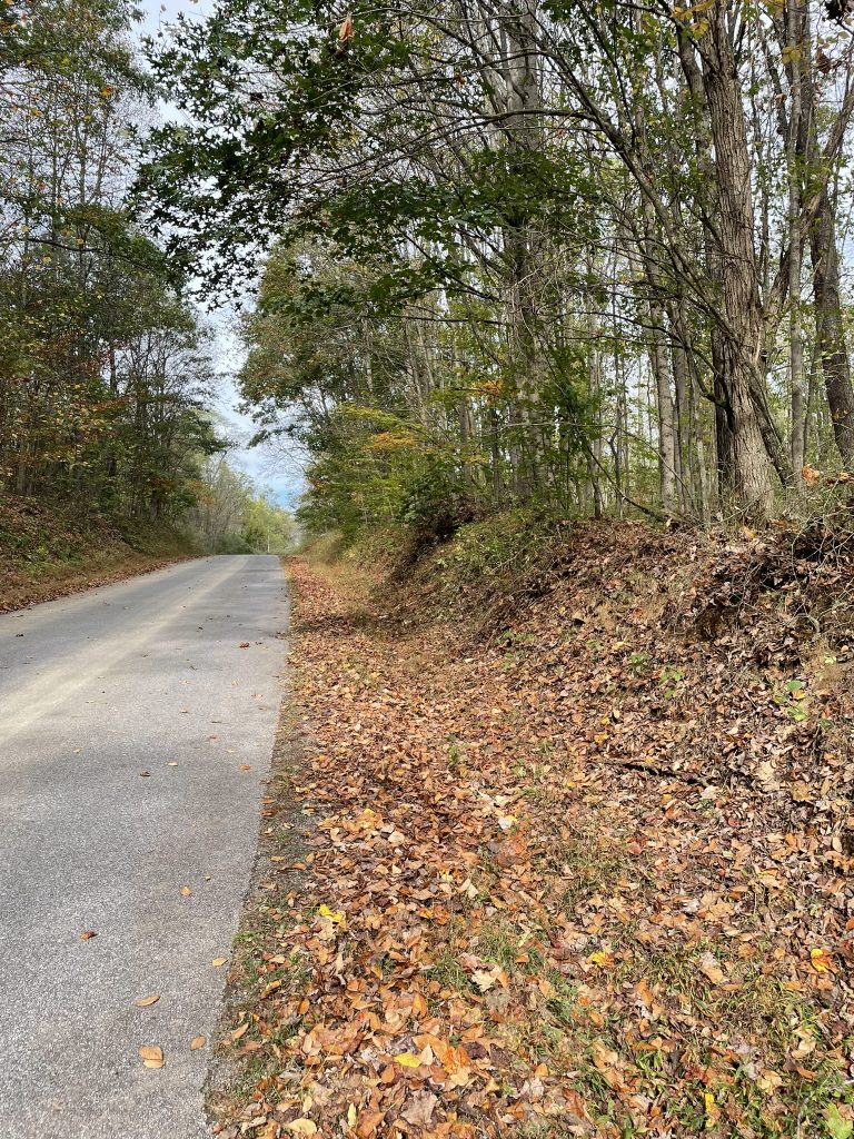 Beautiful 3.75 Acres building lots with septic approval (Clearfield County, Ferguson Township)