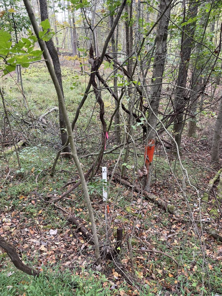 Beautiful 3.75 Acres building lots with septic approval (Clearfield County, Ferguson Township)