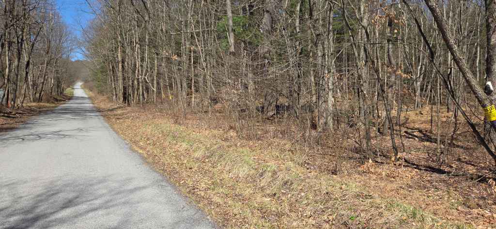 Beautiful 3.75 Acres building lots with septic approval (Clearfield County, Ferguson Township)
