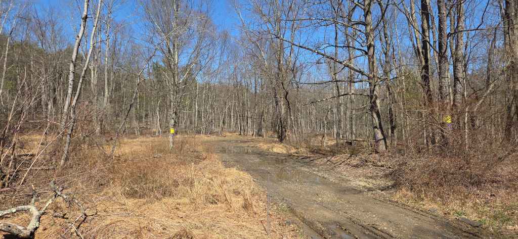 Beautiful 3.75 Acres building lots with septic approval (Clearfield County, Ferguson Township)