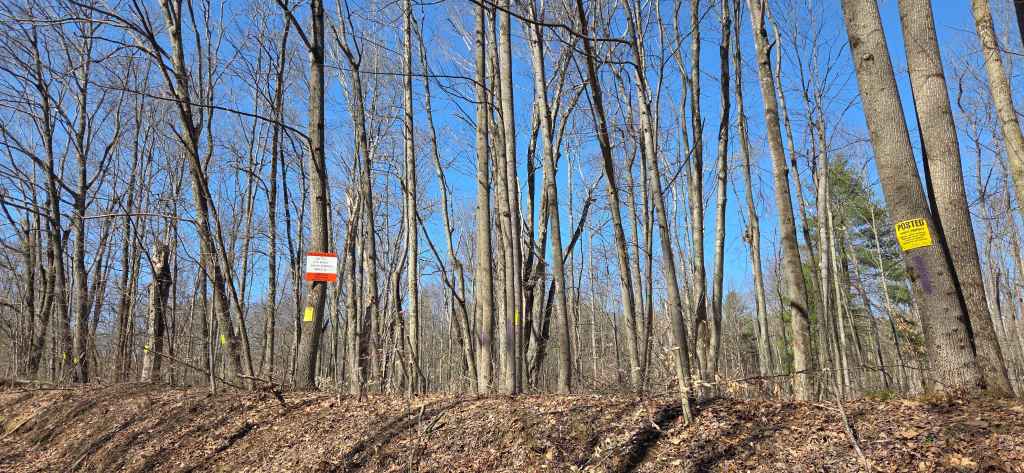 Beautiful 3.75 Acres building lots with septic approval (Clearfield County, Ferguson Township)